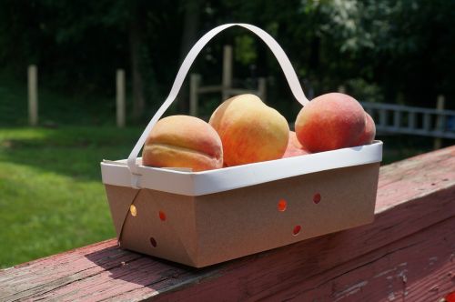 peach fruit basket
