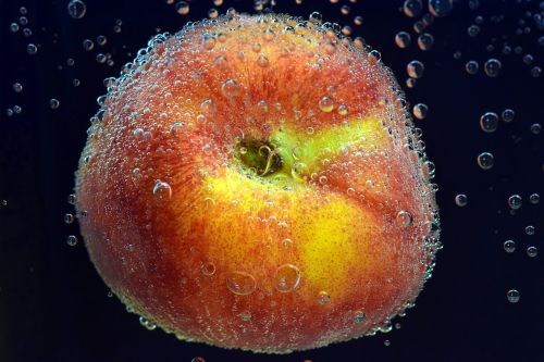 peach fruit stone fruit