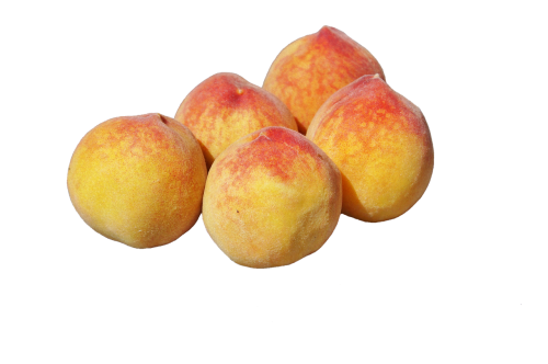 peach pome fruit fruit