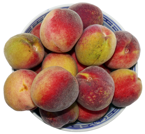 peach stone fruit fruit bowl