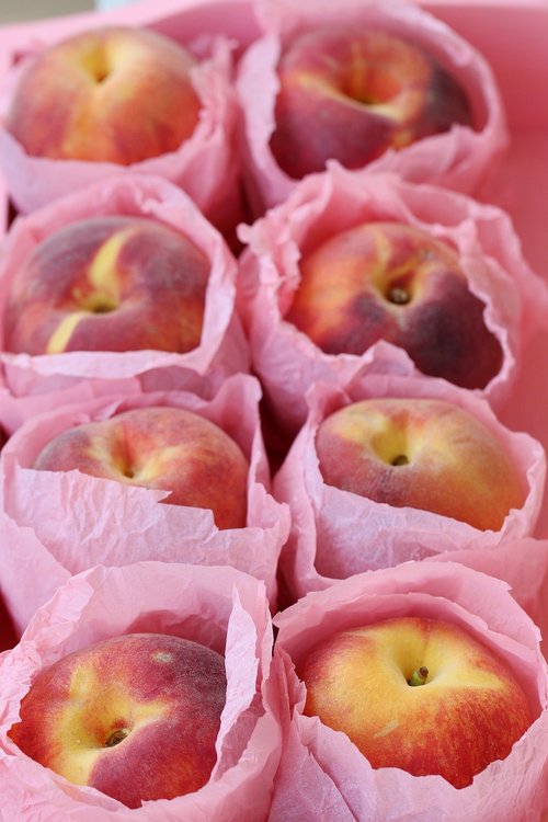 peach  nectarine  fruit