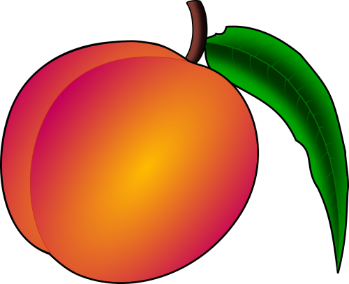 peach fruit nectarine