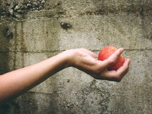 peach fruit hand