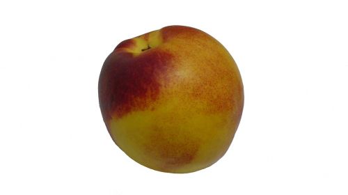 peach fruit white background