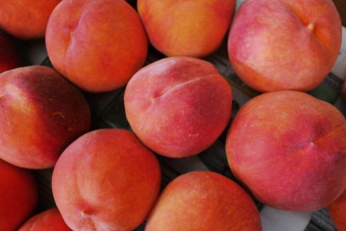 peaches summer sweet