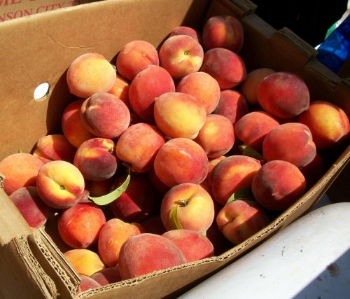 peaches market organic