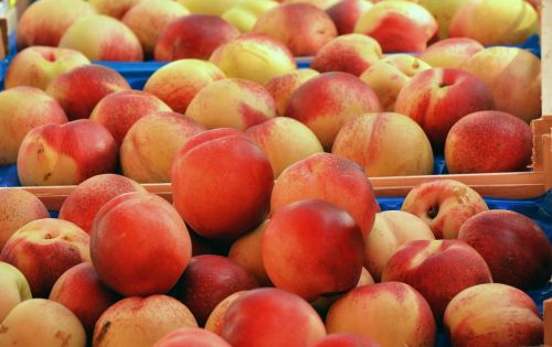 peaches fruit food
