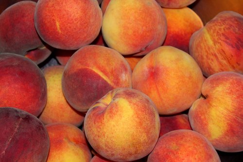 peaches  fruit  mature