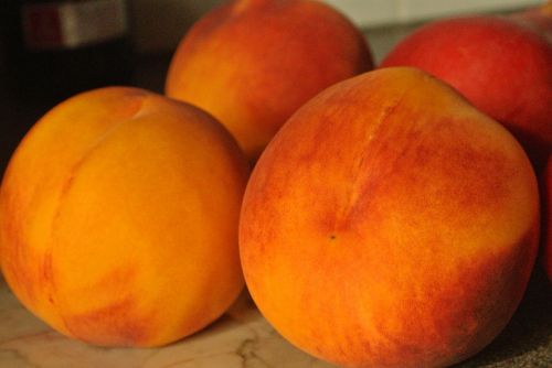 peaches orange fruit