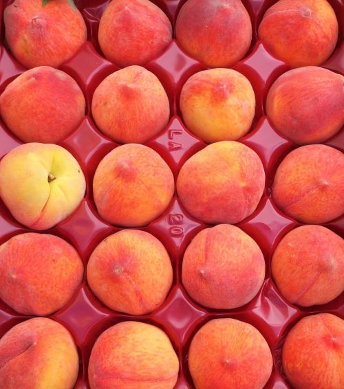 peaches background fruit