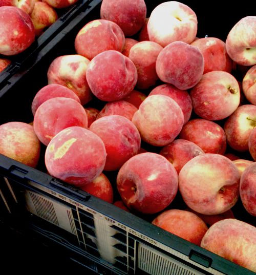 Peaches Fresh At Market