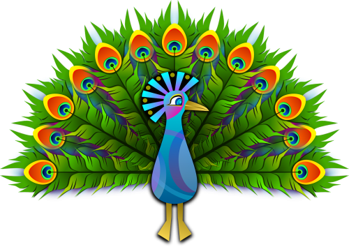 peacock peafowl peachick