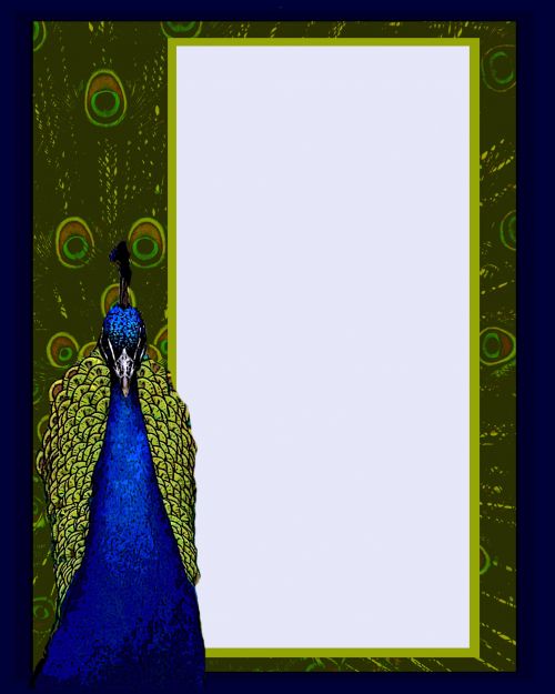 Peacock Invitation Template