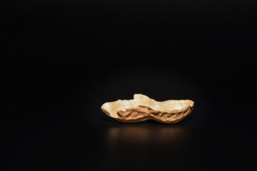 peanut peanut shell nutshell