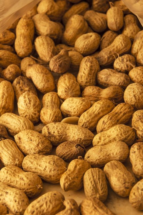 peanut peanuts dried fruit