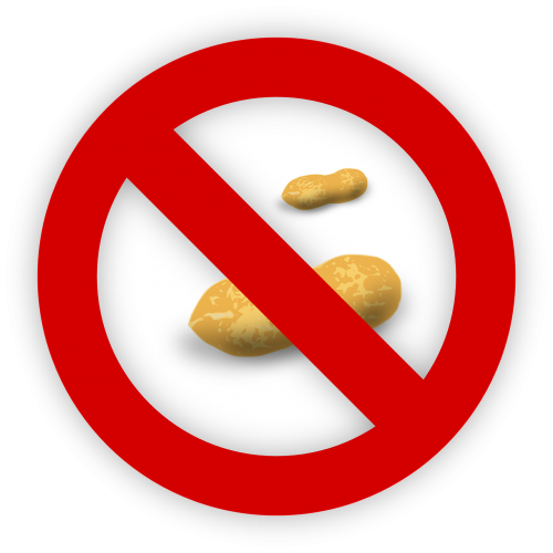 peanut allergy food