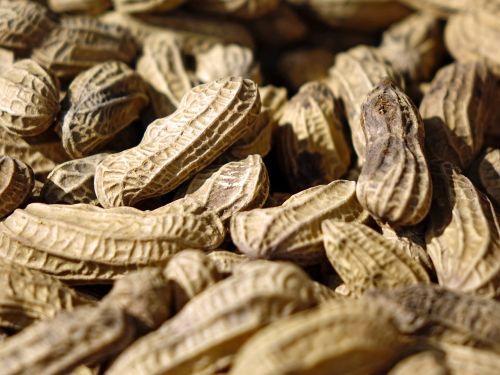 peanuts nuts snack