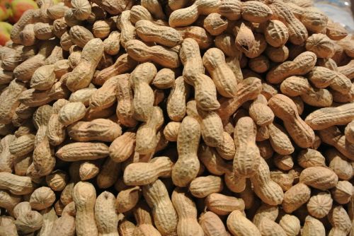 peanuts eat nuts