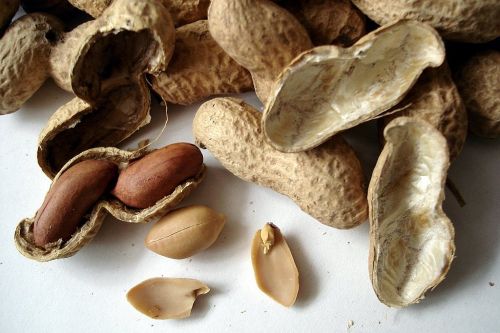 peanuts nuts cores