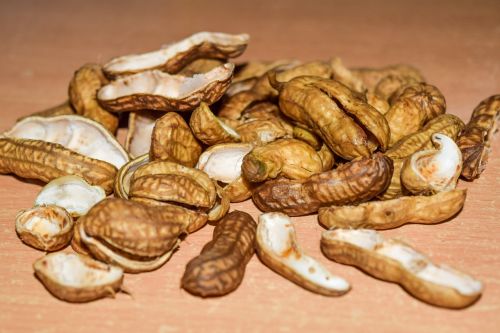peanuts nutshells nuts