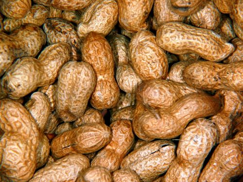 peanuts nuts peanut