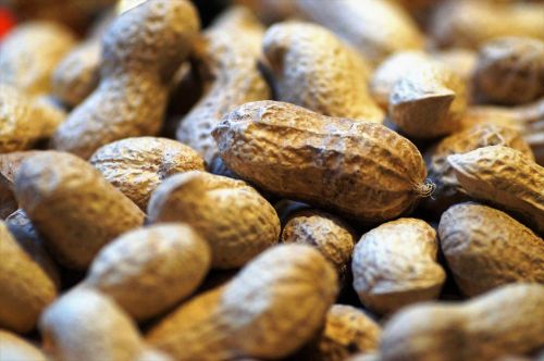 peanuts groundnuts nut
