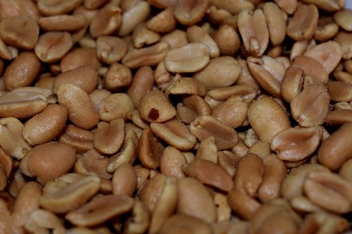 peanuts  nuts  snack