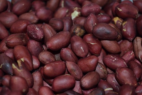 peanuts  walnut  nutrition