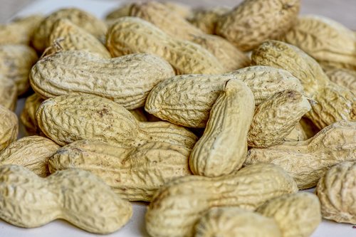 peanuts  shell  eat