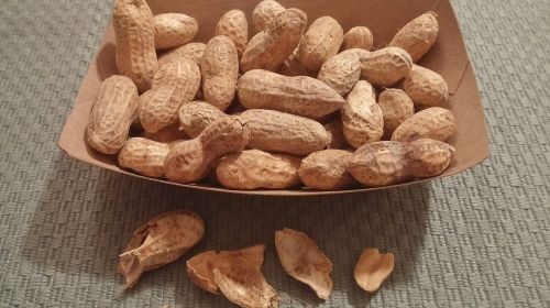 peanuts nuts food