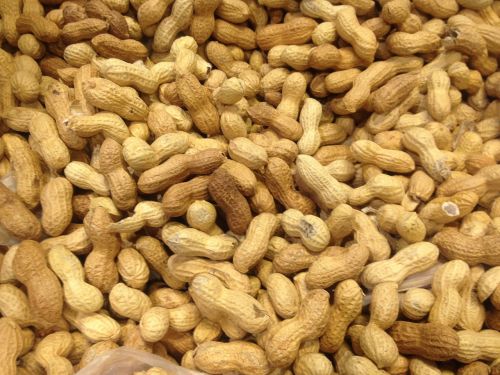 peanuts legume healthy