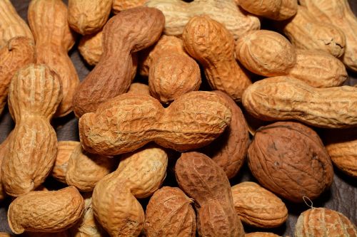 peanuts nuts walnuts