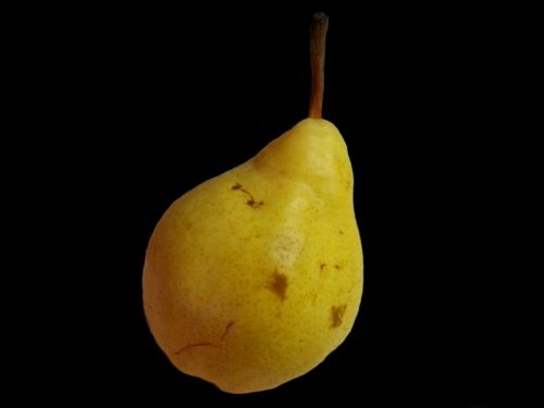 Pear