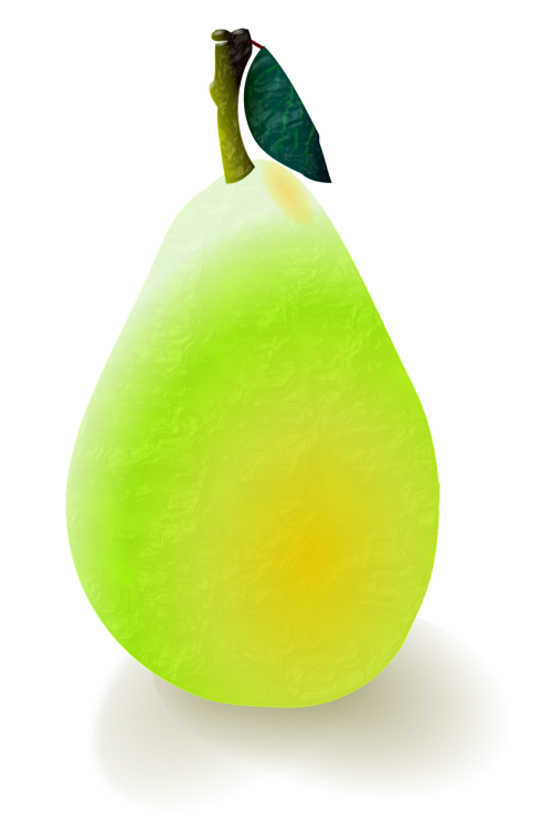 pear fruit leaf