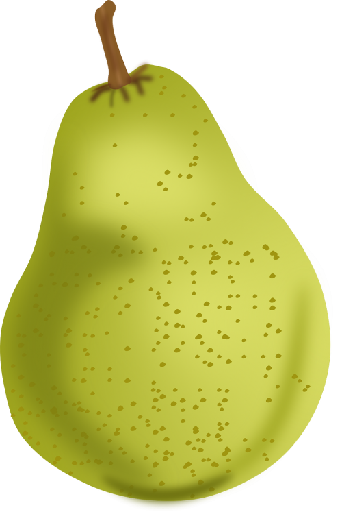 pear food fruit