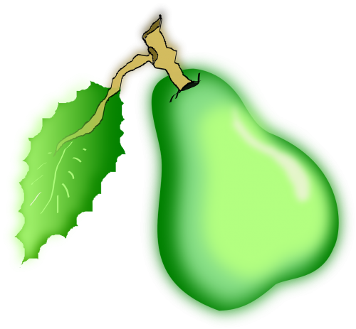 pear fruit green