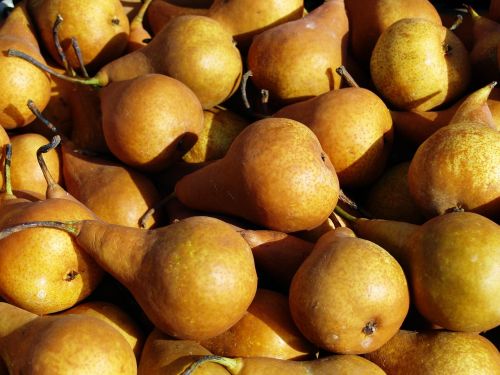pear fruit organic