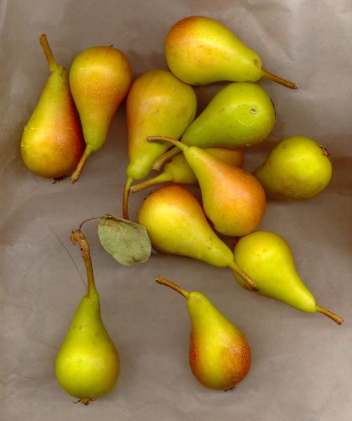 pear fruit natural health