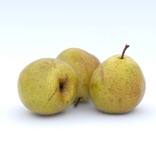 pear pears yellow