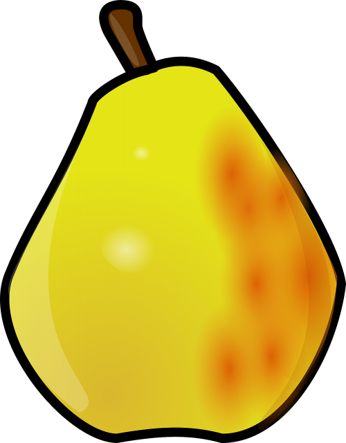 pear yellow fruit