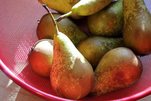 pear fruits fruit