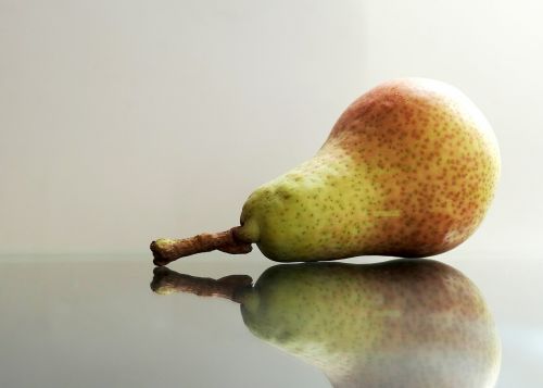 pear fruit bio