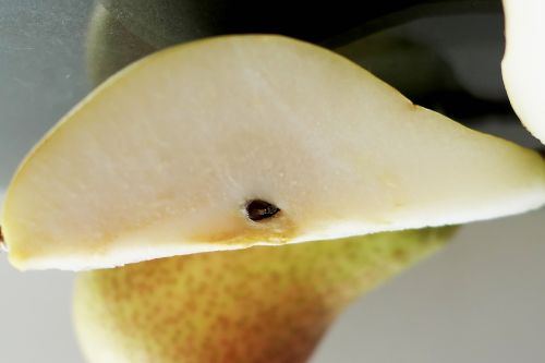pear fruit bio