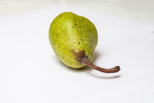 pear  fruit