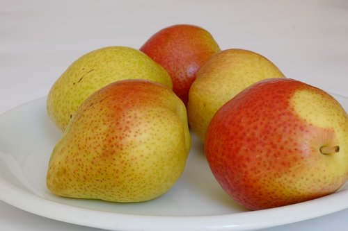 pear  pears  fruit
