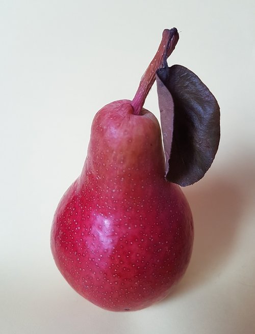 pear  fruit  still life