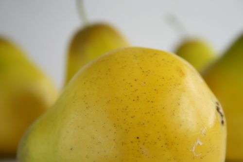 pear fruit yellow