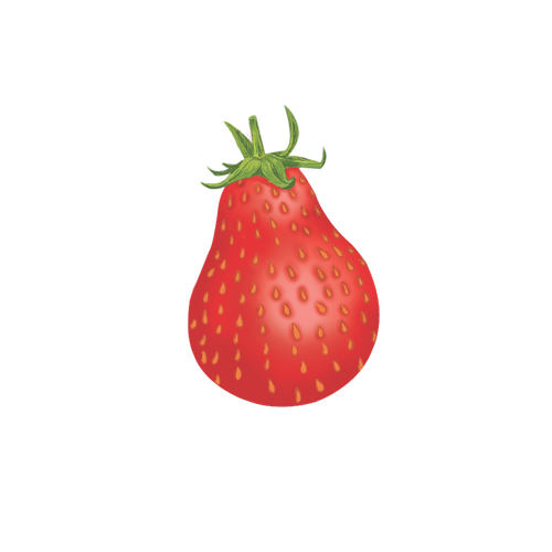 pear  strawberry  vector