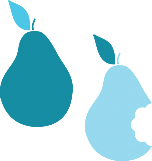pear fruit bitten