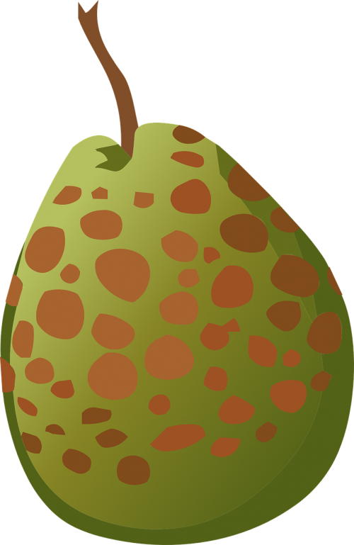 pear fruit fresh